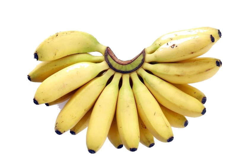 Hardy Banana Fruit Banaani Image - Family - Cages Transparent PNG