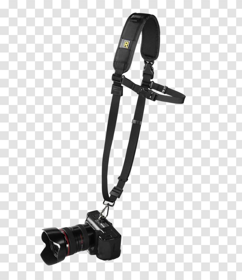 Ngọc Camera Strap Photography Amazon.com Transparent PNG