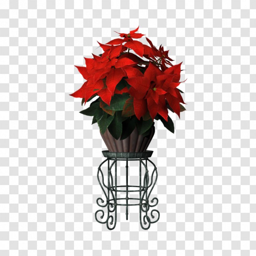 Poinsettia Flower Bouquet Christmas Floristry - Holiday Transparent PNG