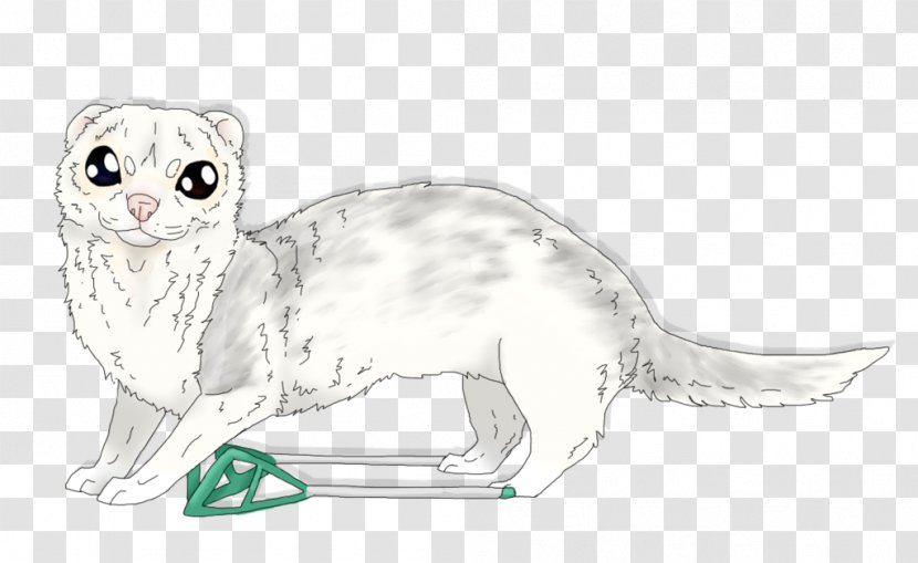 Whiskers Cat Dog Canidae Line Art Transparent PNG