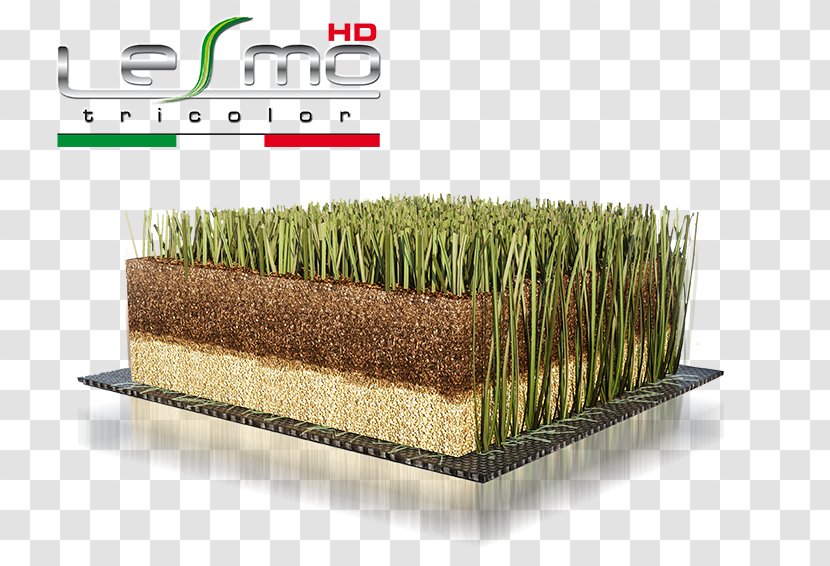 Artificial Turf Lawn Football Pitch - Plant Transparent PNG