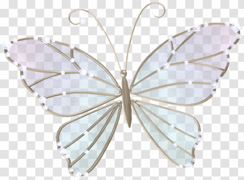 Butterfly Insect Moth Pollinator Wing - Brush Footed - Butterflies Transparent PNG
