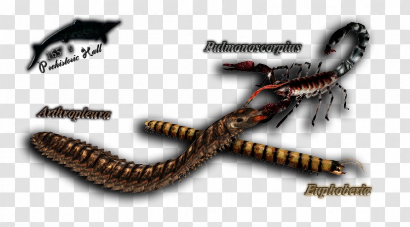 Reptile Product Invertebrate - Pterosaurus Transparent PNG