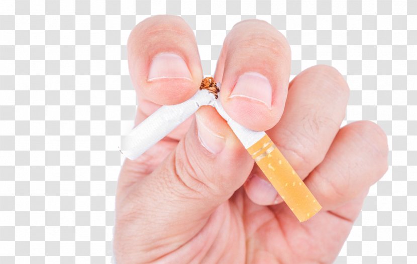 Tobacco Smoking Cessation Drug Dependence Cancer - Frame - No Material Buckle HD Free Transparent PNG