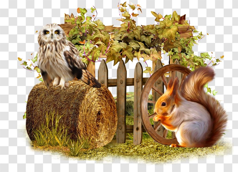 Squirrel Blog Transparent PNG