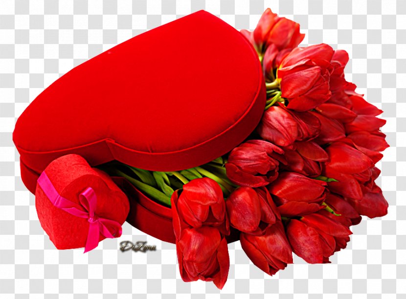 Valentine's Day Tulip Flower Desktop Wallpaper Holiday - Red Transparent PNG