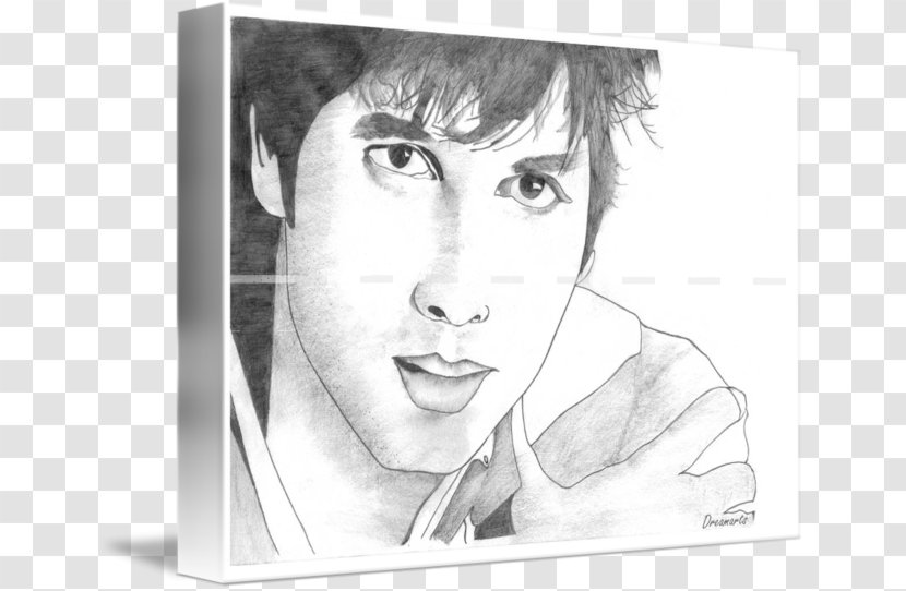 Drawing You Too Can Draw Painting Sketch - Imagekind - Shahid Kapoor Transparent PNG