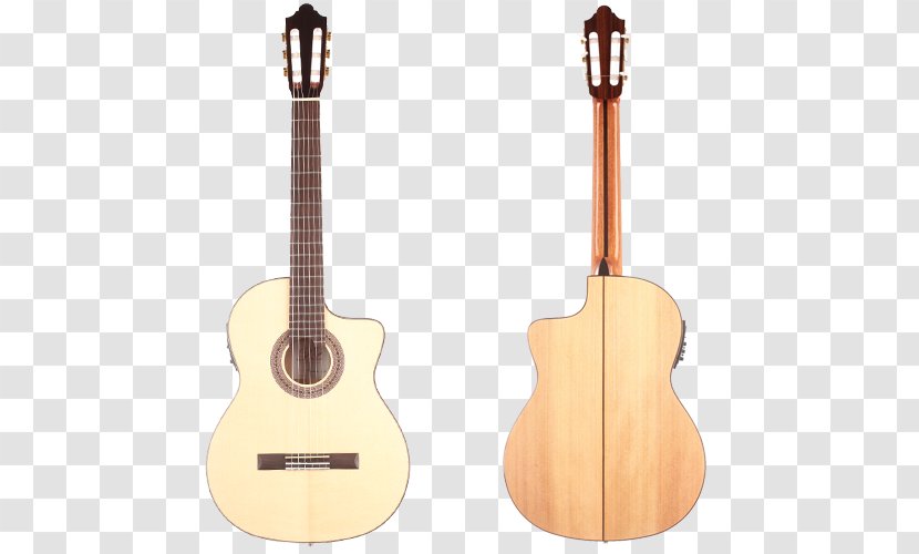 Tiple Acoustic Guitar Cuatro Cavaquinho Acoustic-electric - Watercolor Transparent PNG