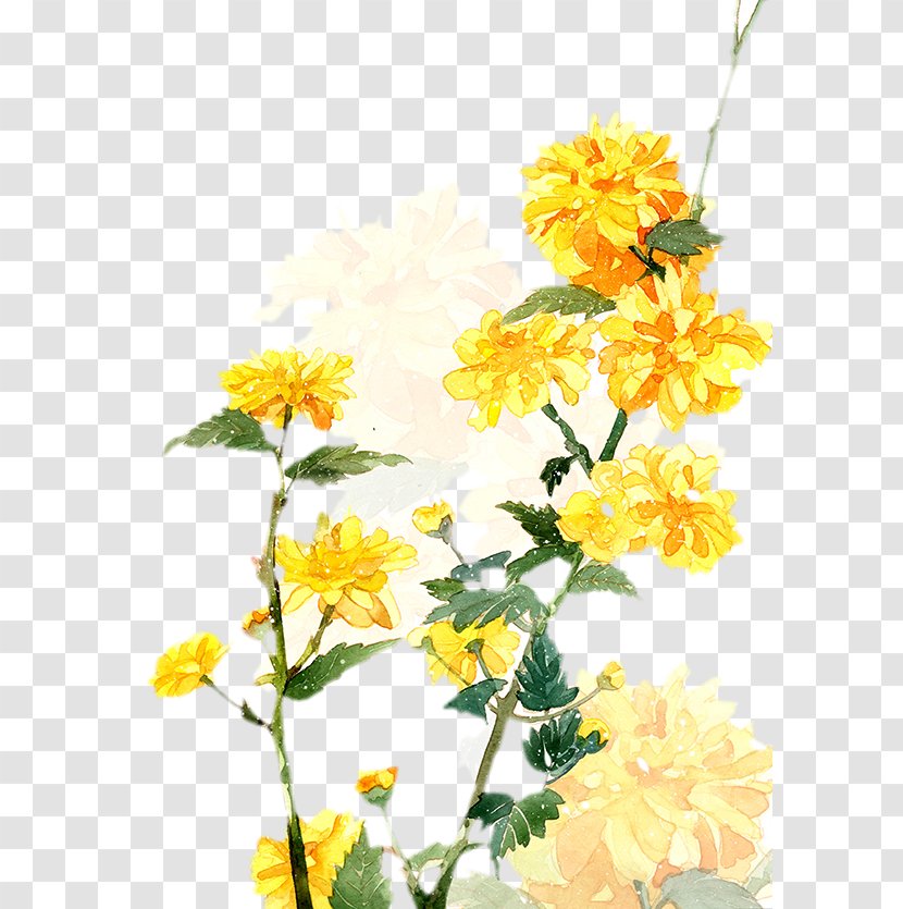 Lichun Trade Winds Flower Spring - Chrysanths - Twenty-four Fan WindsThe Beginning Of SpringA Spring-designate Transparent PNG