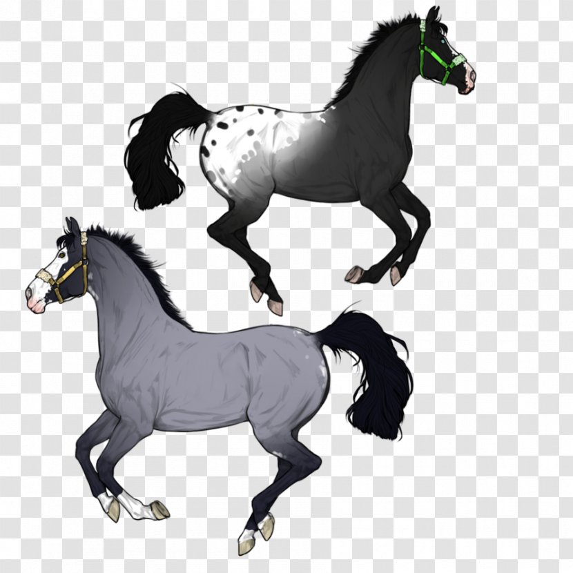 Mustang Mare Stallion Halter Rein - Black And White Transparent PNG