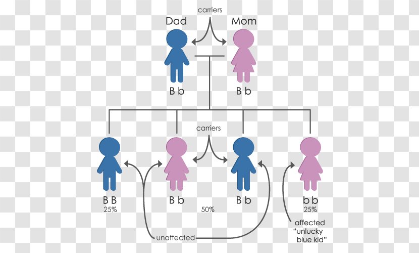 Methemoglobinemia Phenylketonuria Genetic Disorder Phenylalanine - Heart - Tree Transparent PNG