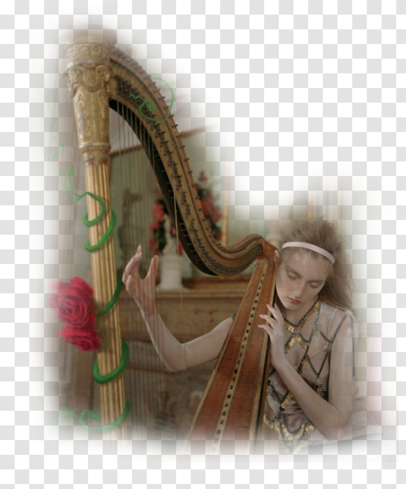Celtic Harp Musician Violin Musical Instruments - Heart Transparent PNG