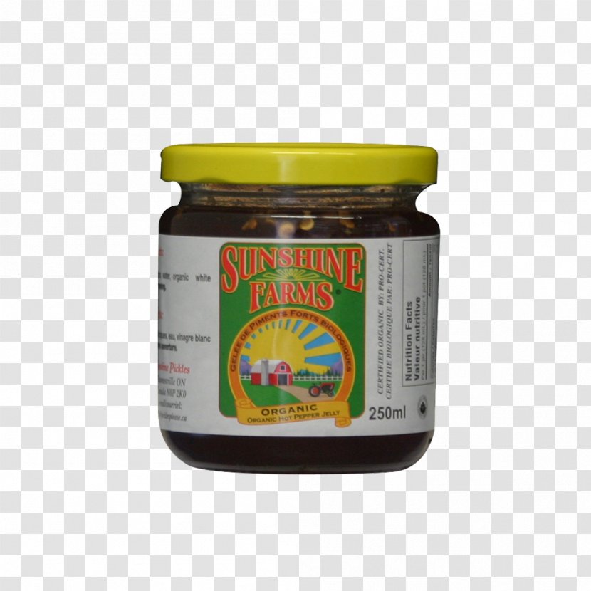 Chutney Sauce Flavor - Ingredient Transparent PNG