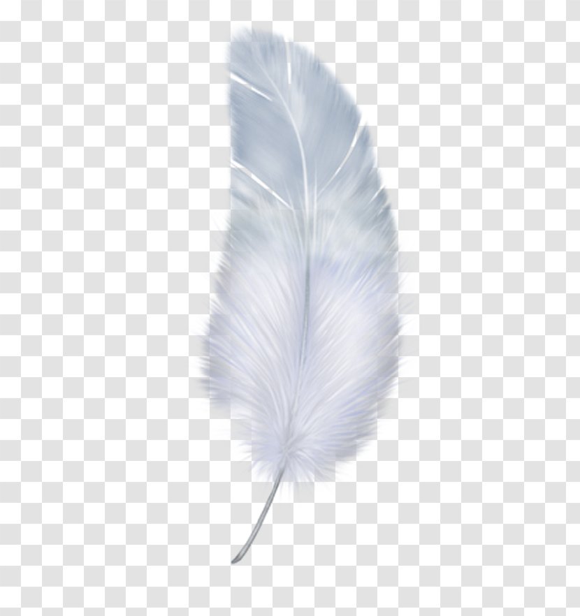 Feather Wing White - Aile - Feathers Transparent PNG