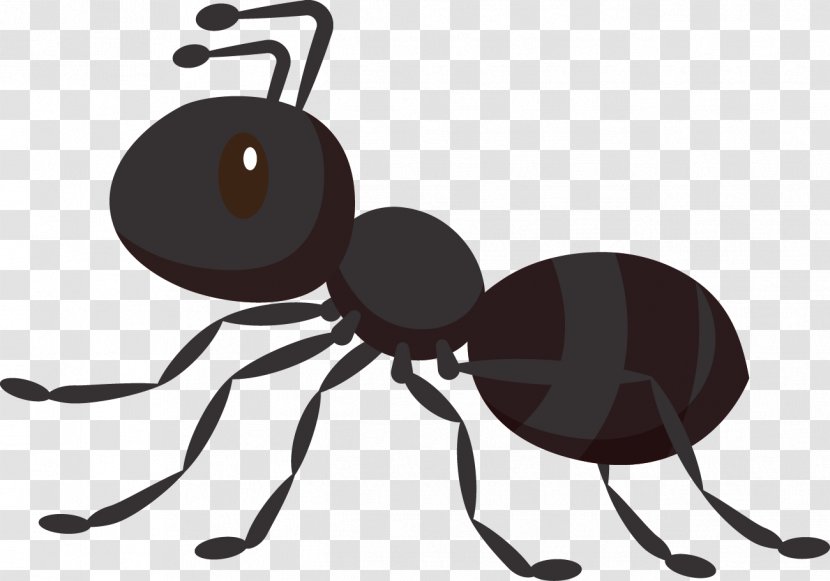 Ant Felt FUMI-GREEN Control De Plagas Drawing Handicraft - Invertebrate - Jack Ma Financial Transparent PNG