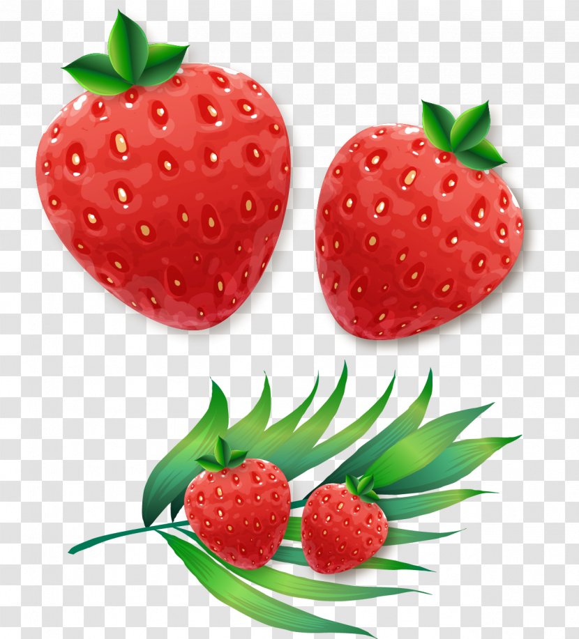 Strawberry Aedmaasikas Euclidean Vector - Painted Transparent PNG
