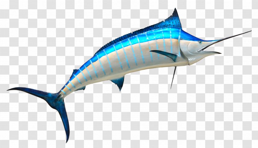 Swordfish Fishing - Atlantic Blue Marlin - Fish Transparent PNG