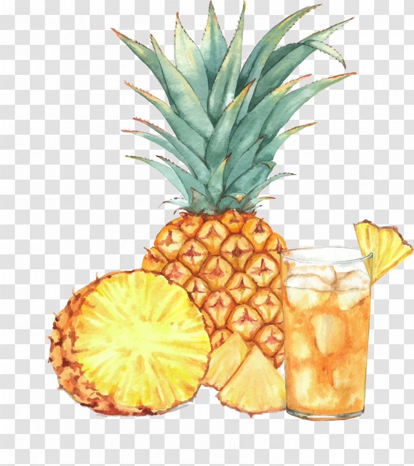 Juice Cocktail Pineapple Drawing - Natural Foods - Watercolor Transparent PNG