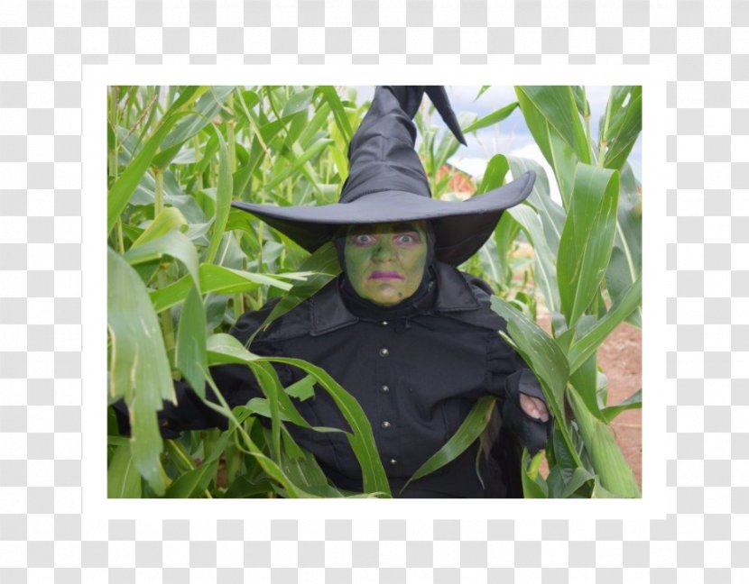 Corn Maze Farm Ranch Cattle - Police Officer - Taobao Concession Roll Transparent PNG