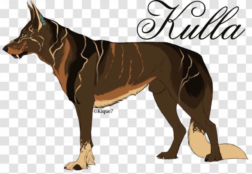 Dog Breed Indian Pariah Horse Animal - Fox - HORS Transparent PNG
