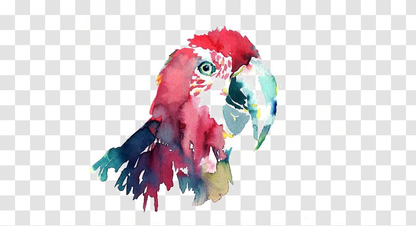 Parrot Bird Macaw Watercolor Painting - Perico Transparent PNG