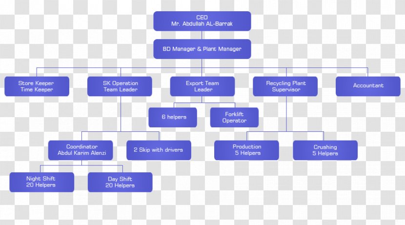 Organizational Chart Structure Company Recycling - Flowchart - Organization Transparent PNG