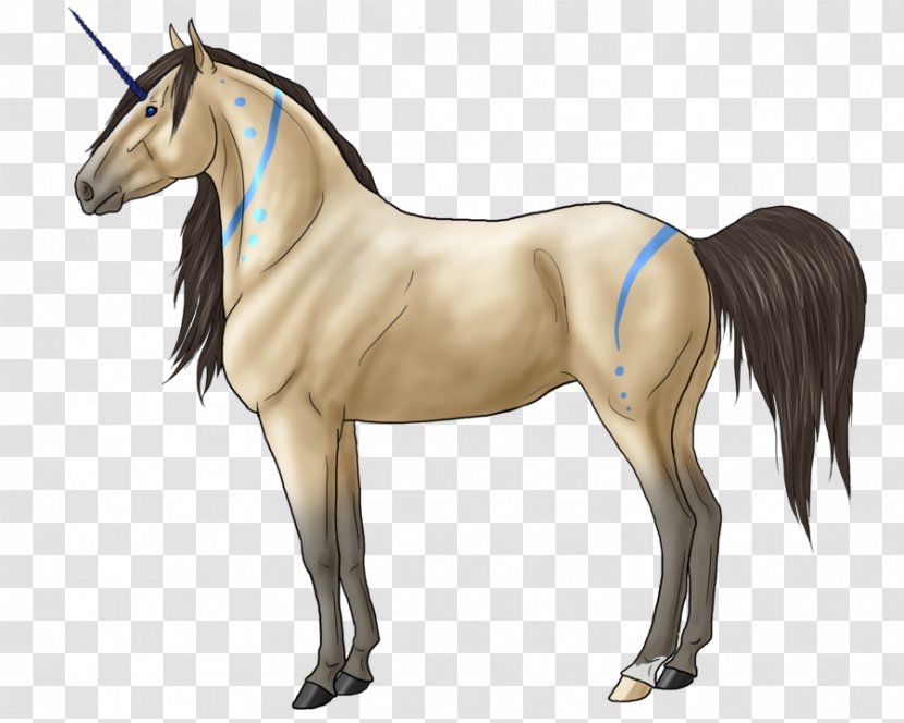 Mustang Stallion Mane Foal Colt - Horse Tack Transparent PNG