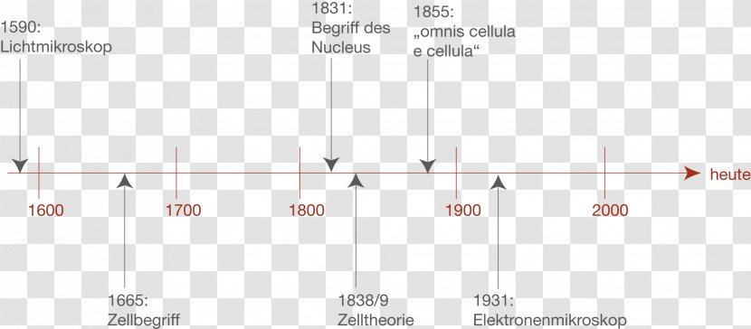 Line Angle - Number - Design Transparent PNG