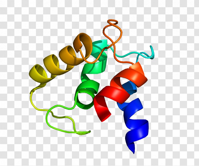 MCFD2 Protein COPII Coatomer Gene - Tree - Cartoon Transparent PNG