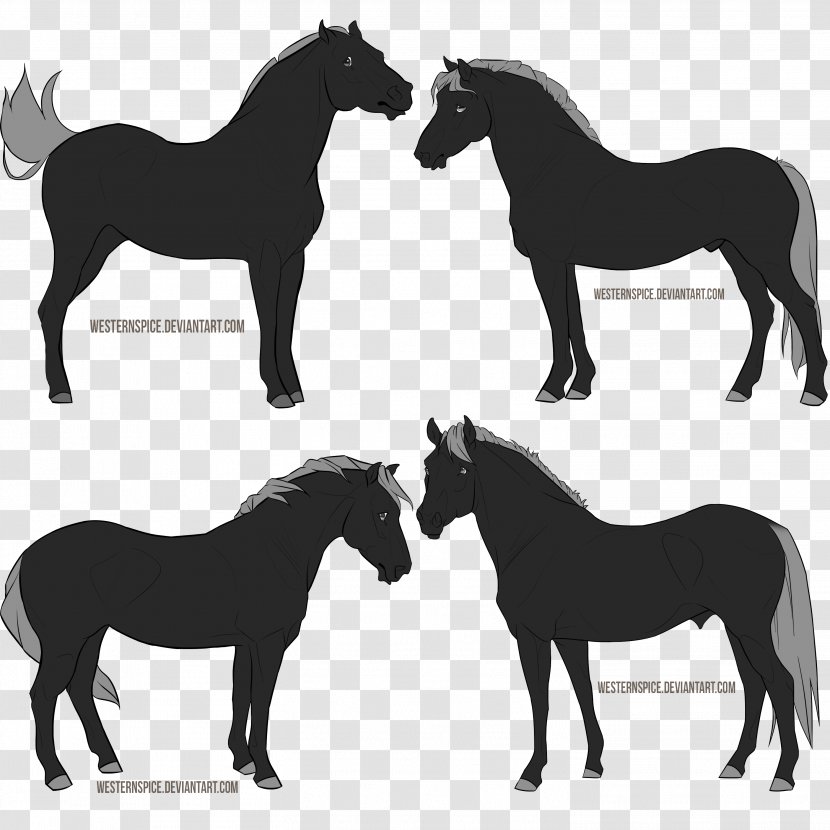 Mustang Arabian Horse Foal Pony Dog - Colt Transparent PNG