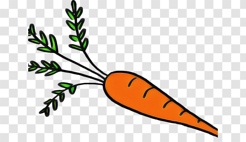 Carrot Cartoon - Tree - Plant Transparent PNG