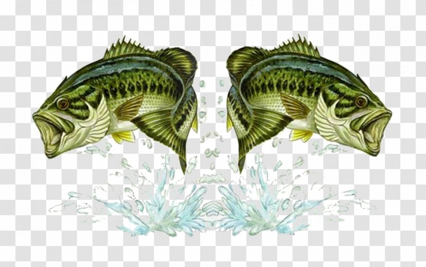 Bass Fishing Double Baits & Lures - Angling Transparent PNG