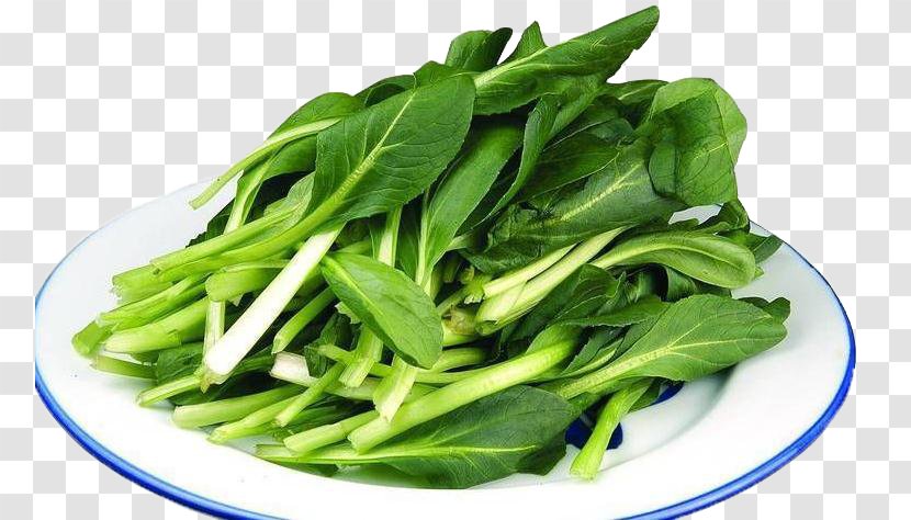 Vegetable Bok Choy Food Chinese Cabbage - Cucumber Transparent PNG