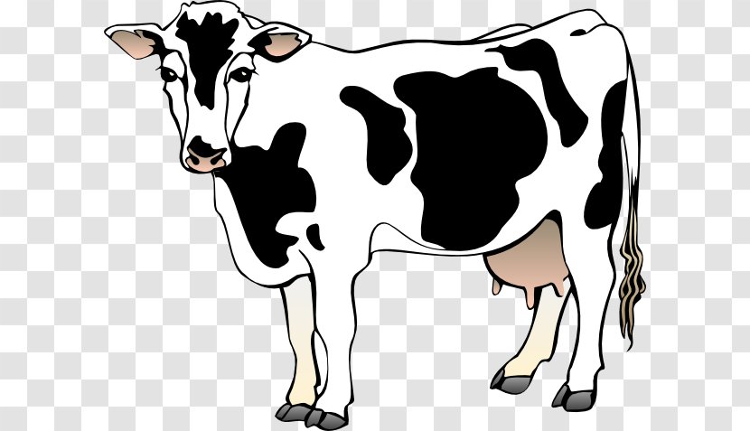 Jersey Cattle Guernsey Angus Clip Art - Bull - Dairy Cliparts Transparent PNG