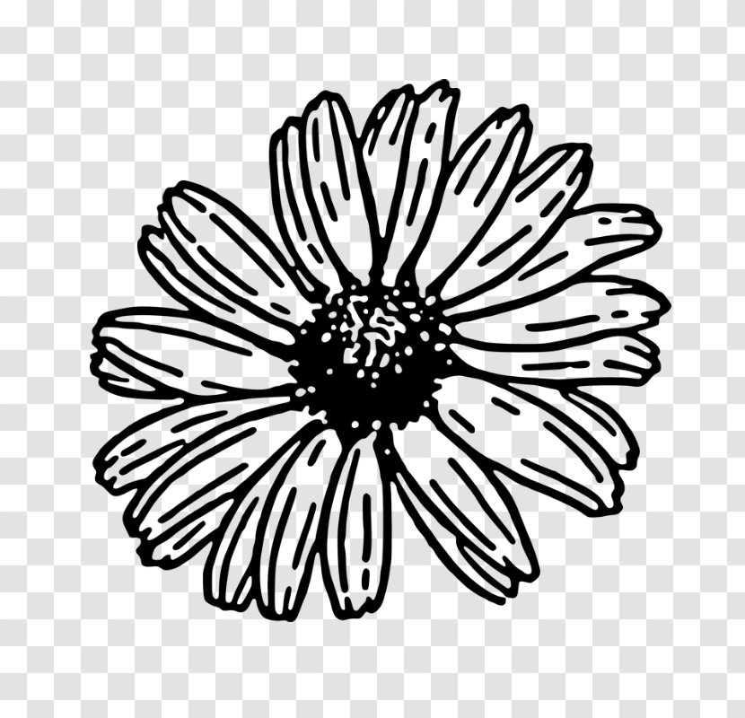 Black And White Flower - Silhouette - African Daisy Aster Transparent PNG