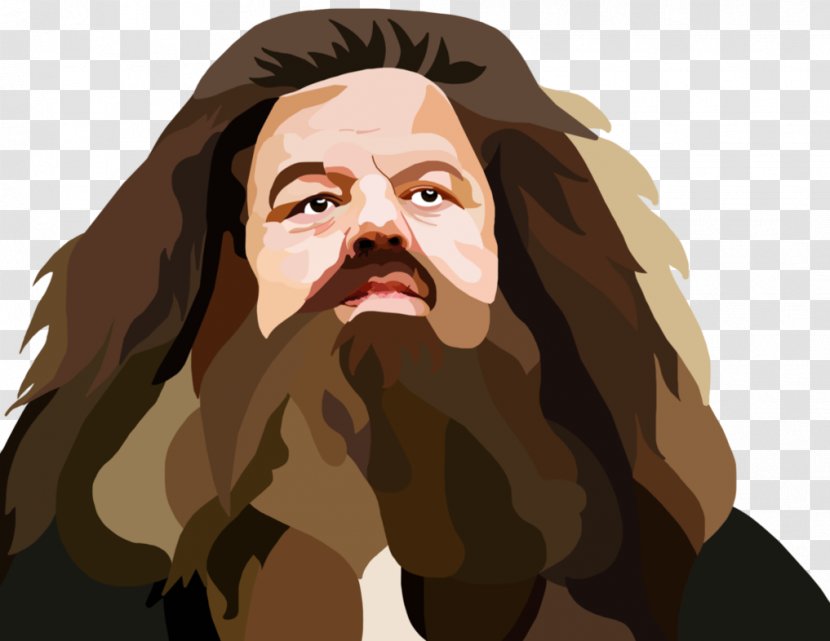 Rubeus Hagrid Narcissa Malfoy Percy Weasley Ron Newt Scamander - Human - Painting Transparent PNG