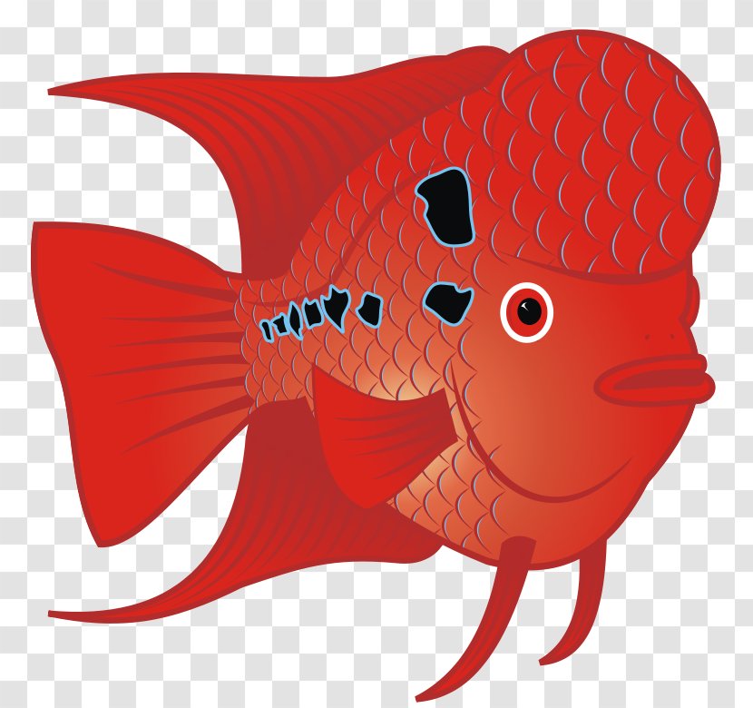 Flowerhorn Cichlid Tropical Fish Clip Art - Cartoon - Echidna Clipart Transparent PNG