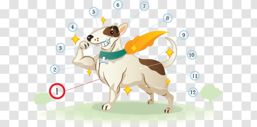 Puppy Dog Ma-Mha Health Mammal - Vertebrate - Healthy Check Transparent PNG