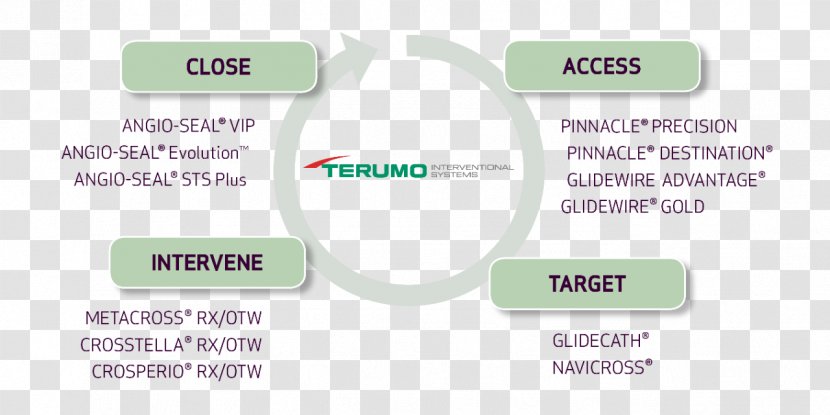 Wire Peripheral Artery Disease Shunt Terumo Corporation - Medical Device - Vascular System Transparent PNG