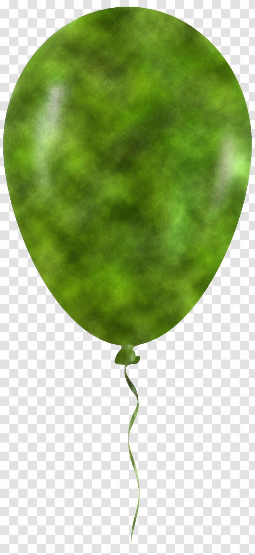 Green Leaf Heart Grass Plant - Symbol Transparent PNG