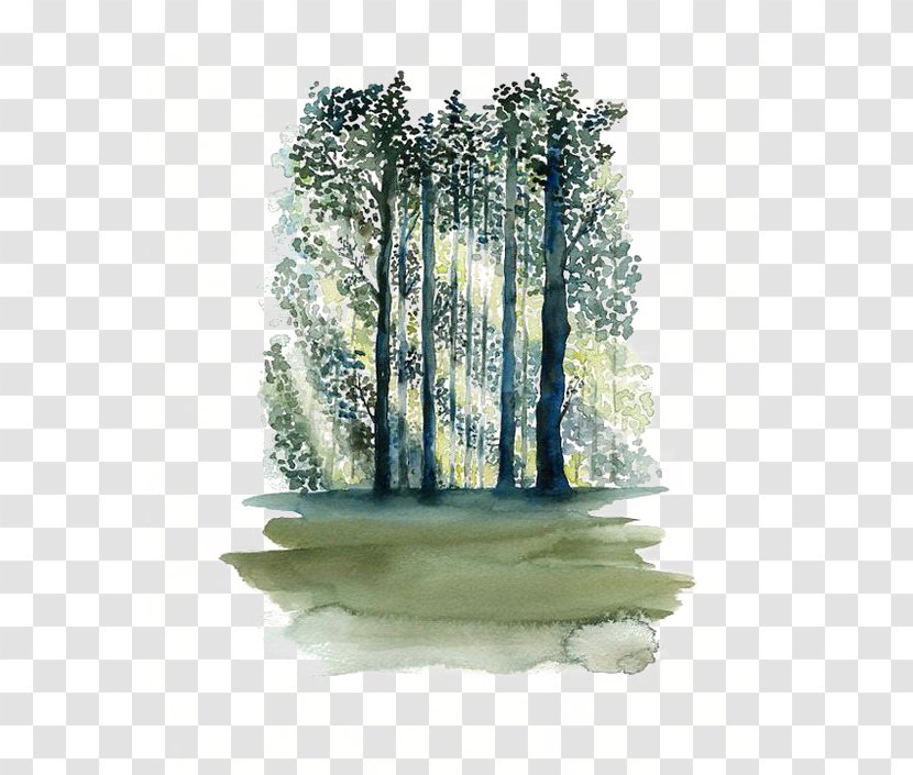 Watercolor Painting Paper Tree Forest - Drawing Transparent PNG