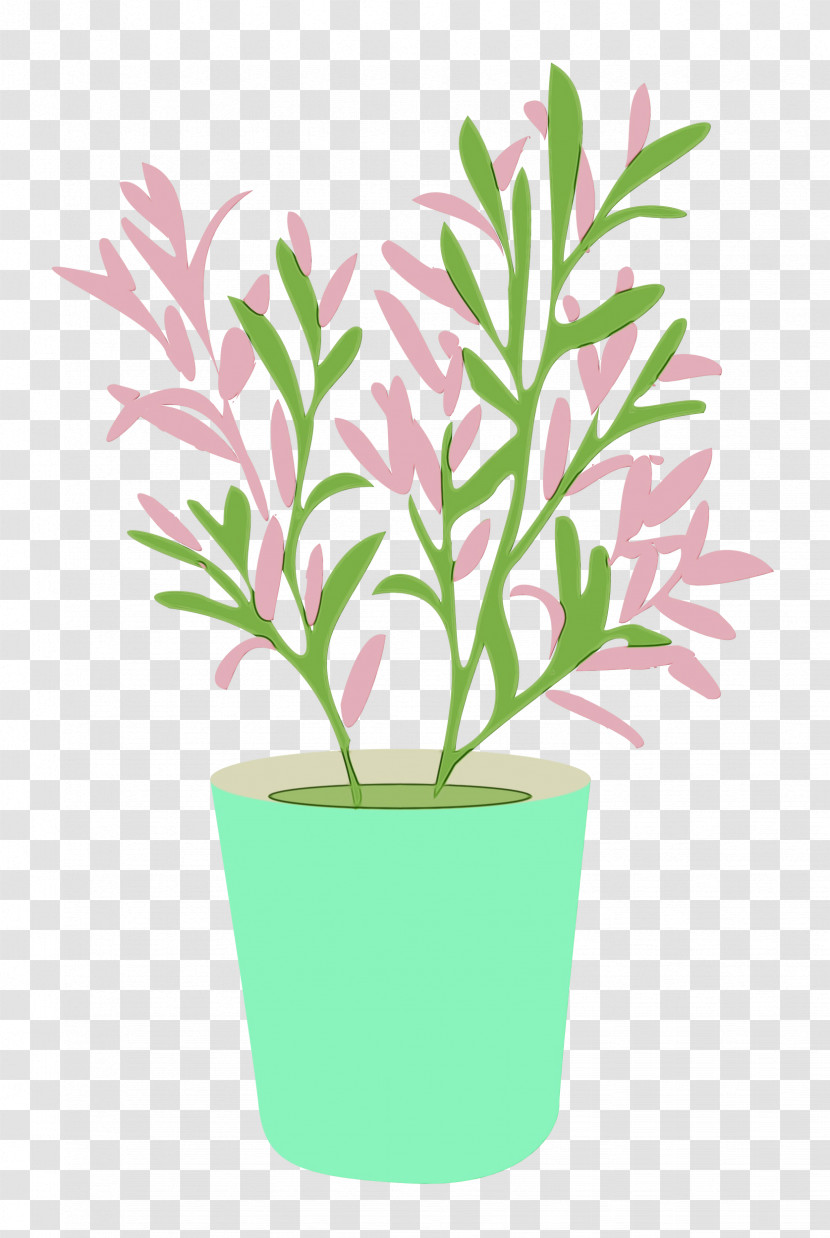 Plant Stem Flower Houseplant Leaf Flowerpot Transparent PNG