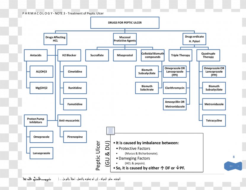 Document Line Organization Angle - Diagram Transparent PNG