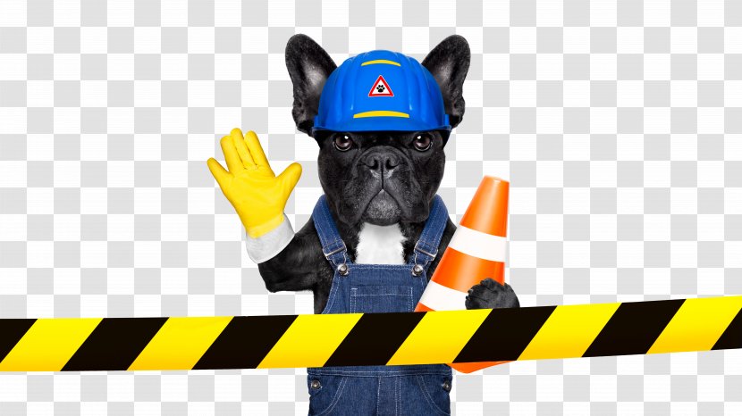 Dog Stock Photography Royalty-free Architectural Engineering Illustration - Snout - Creative Puppy Anthropomorphic Image Design Transparent PNG
