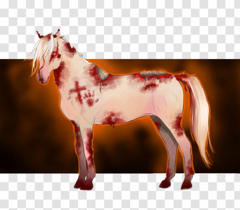 Mustang Stallion Pony Halter Desktop Wallpaper - Horse Transparent PNG