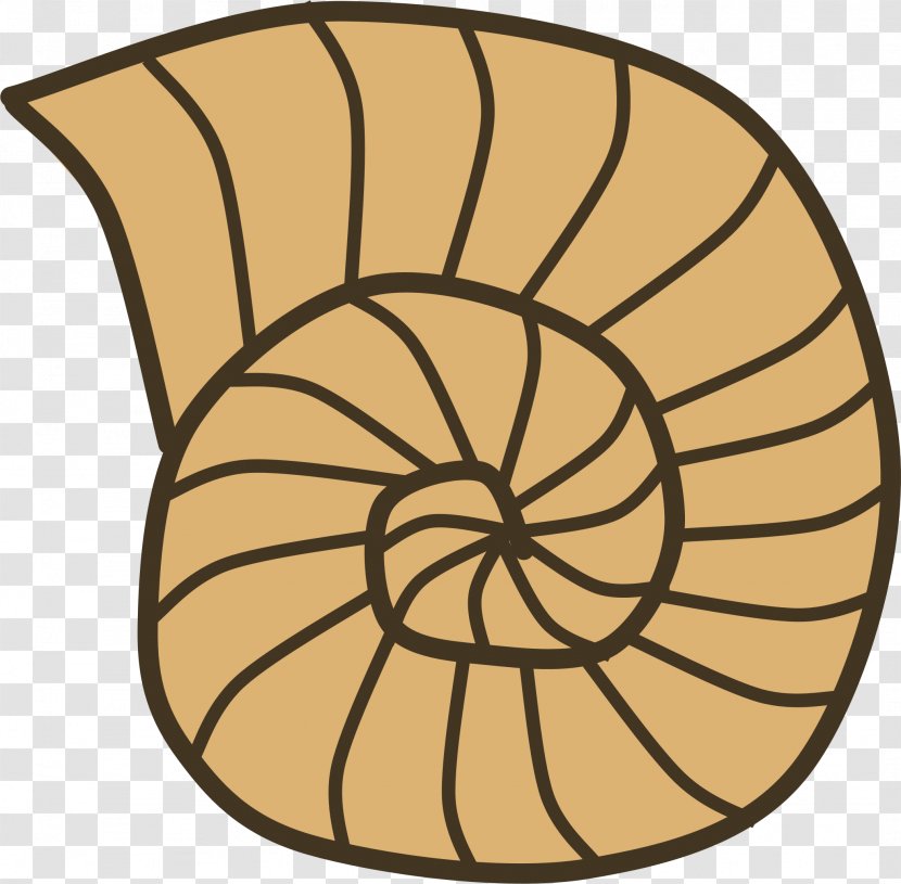 Seashell Sea Snail Gastropod Shell Clip Art - Nautilida - Ocean House Cliparts Transparent PNG