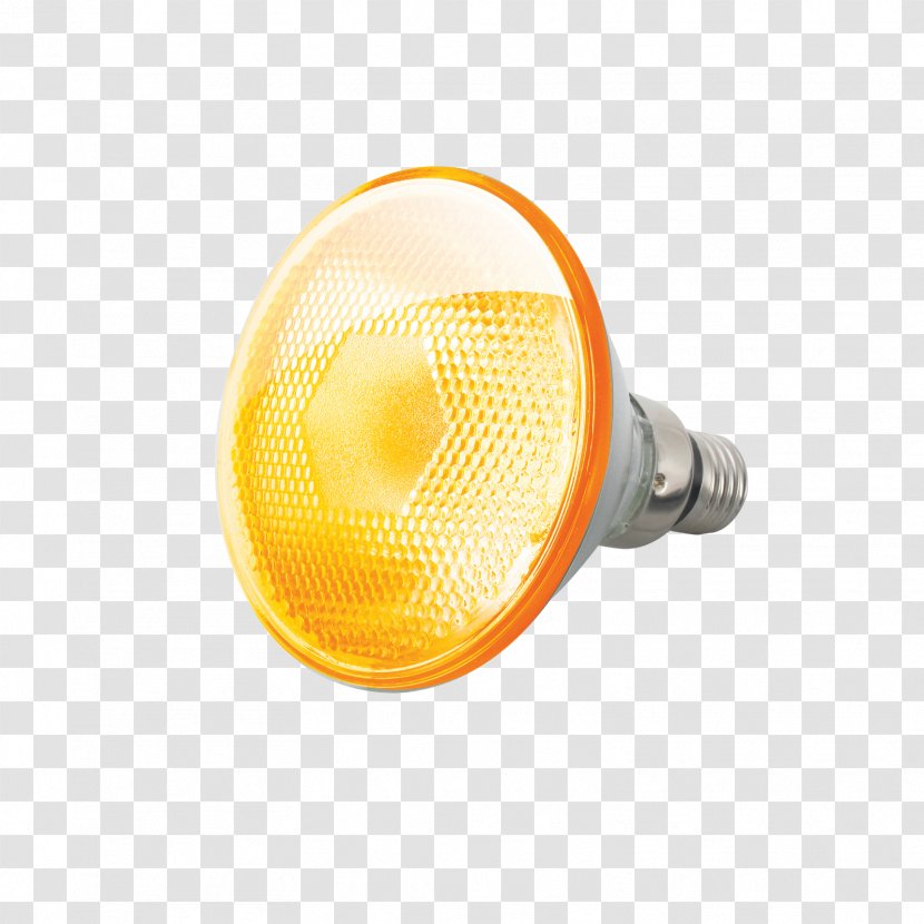 Edison Screw Incandescent Light Bulb Halogen Lamp - Metalhalide Transparent PNG