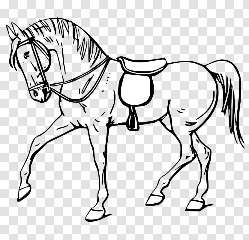 Tennessee Walking Horse Drawing Show Jumping Clip Art - Saddle - Animal Outline Transparent PNG