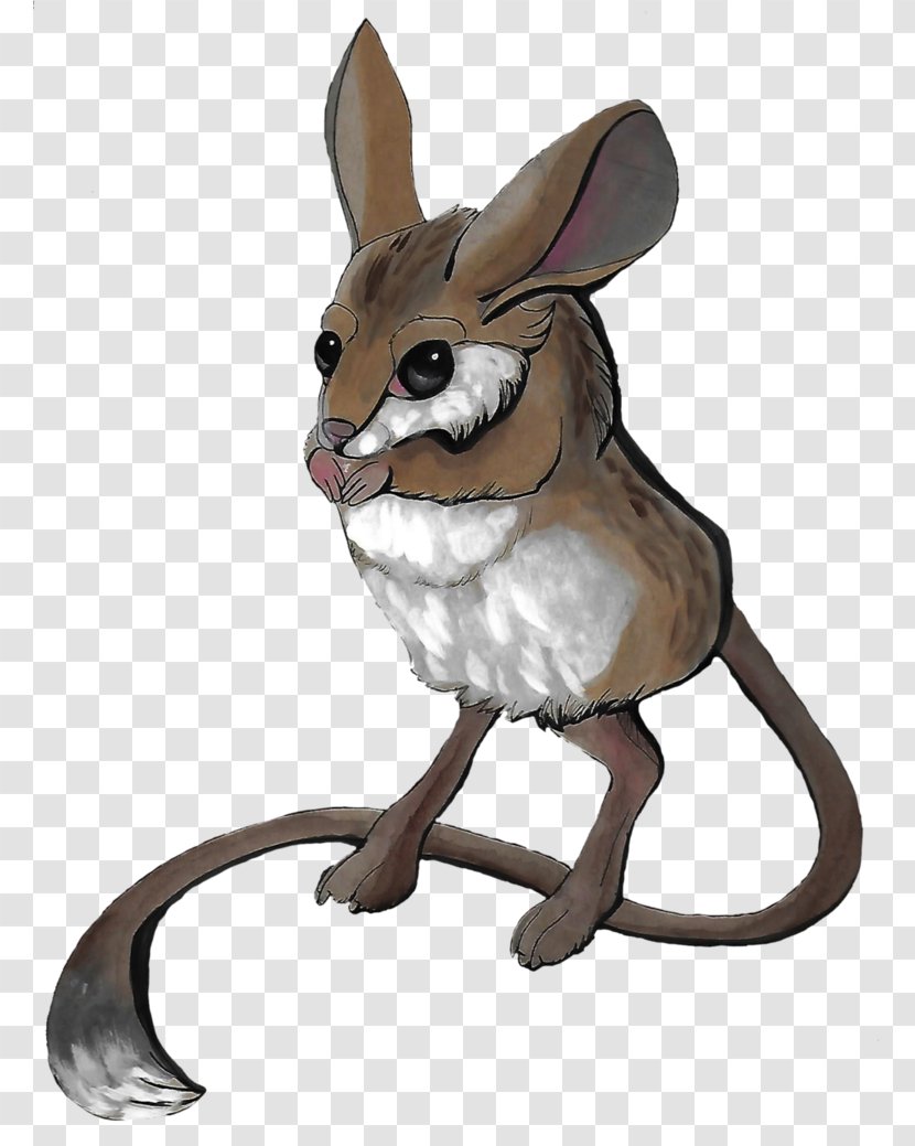Domestic Rabbit Hare Macropodidae Red Fox Whiskers - Fauna Transparent PNG