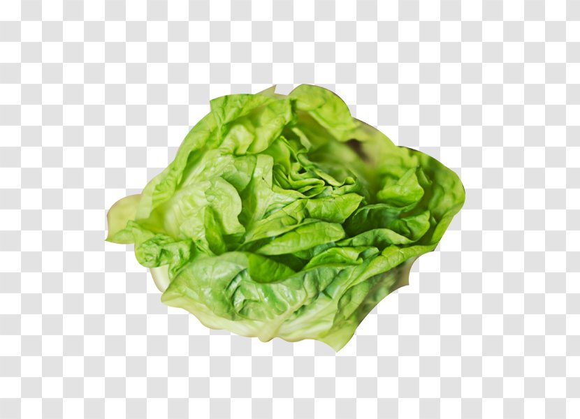 Smoothie Lettuce Soup Centers For Disease Control And Prevention - Grocery Store - A Cabbage Transparent PNG